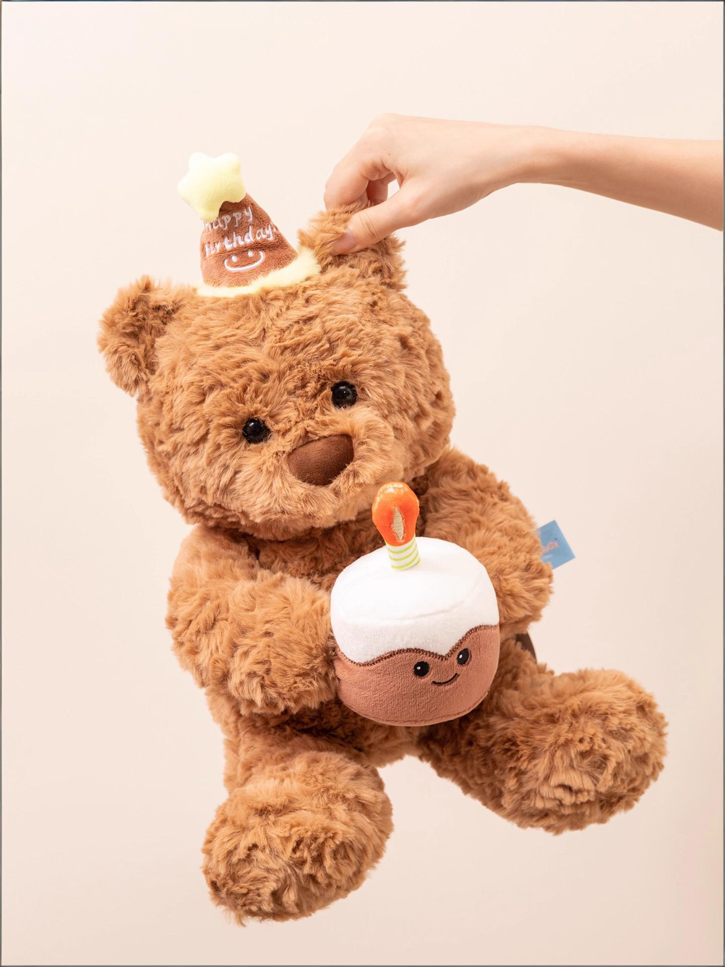 Birthday gift, Teddy bear plush toy